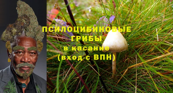 каннабис Покачи