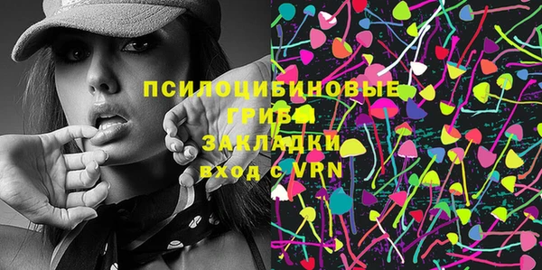 apvp Сясьстрой