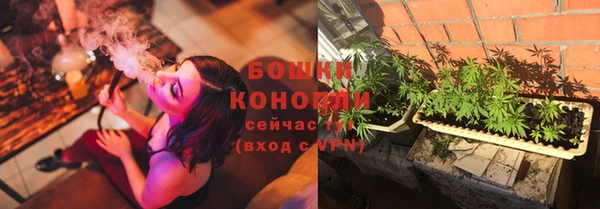 каннабис Покачи