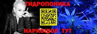 индика Абакан