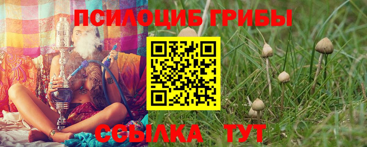 Галлюциногенные грибы мухоморы  Псилоцибиновые грибы Psilocybine cubensis  Алатырь 