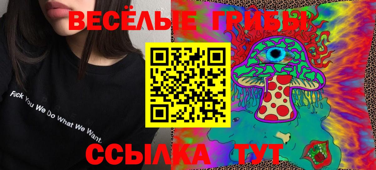 Алатырь  Галлюциногенные грибы GOLDEN TEACHER  Вход с VPN  Галлюциногенные грибы Magic Shrooms 